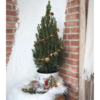 Kleine Kerstboom in Kerstmis sierpot - ca hoogte - Picea glauca Conica