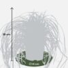 Carex mix | 5 stuks