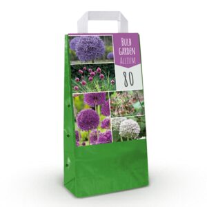 Bulb Garden Allium - Bollentuinsierui - Diversen - Zomerbloeier - Bolmaat 10/12 | 80 stuks