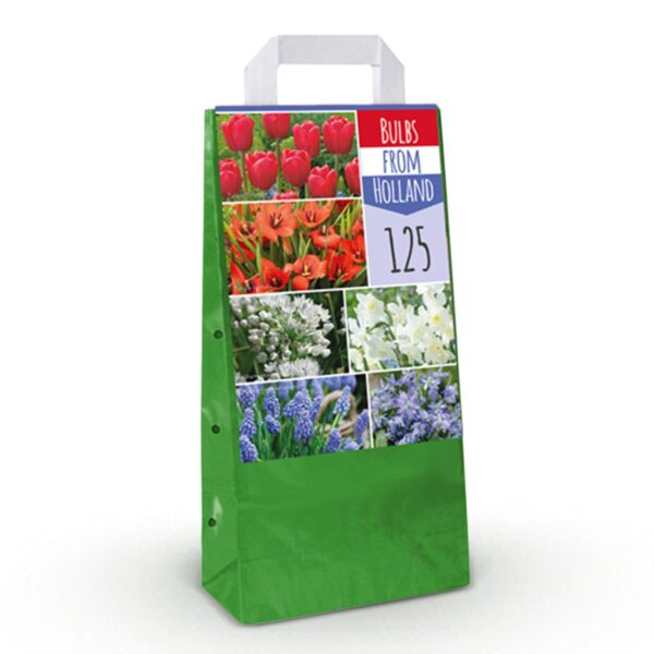 Bloembollen - Bulbs From Holland - Diversen Kleuren - 125 stuks