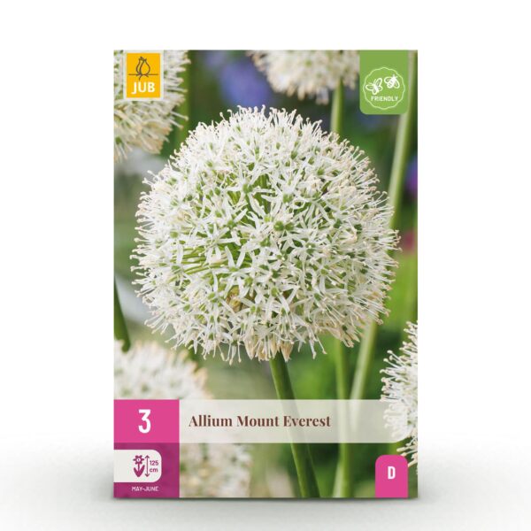thumbnail_6000-264.jpg Bloembollen - Allium Mount Everest - Wit - 3 stuks - Bolmaat 16/18
