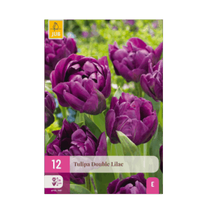 thumbnail_6000.png Tulipa Double Lilac - Dubbele lila tulp - Paars - Voorjaarsbloeier - Bolmaat 11/12 | 12 stuks