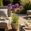 Bloembollen - Allium Purple Sensation - Paars - 15 stuks - Bolmaat 10/12