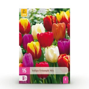 thumbnail_6000-426.jpg 15x Tulipa Triumph Mix - Triomftulp mix - Diversen - Voorjaarsbloeier - Bolmaat 11/12
