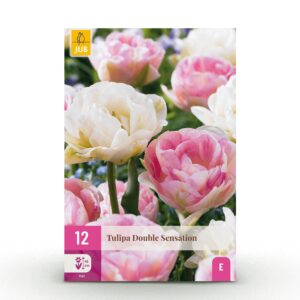 thumbnail_6000-492.jpg Tulipa Double Sensation - Gevulde tulp - Diversen - Voorjaarsbloeier - Bolmaat 11/12 | 12 stuks