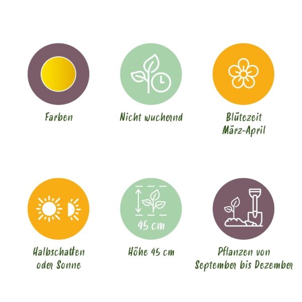 Bloembollen - Narcis Tete-A-Tete - Geel - 25 stuks - Bolmaat 10/11