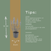 Lythrum salicaria | 12 stuks