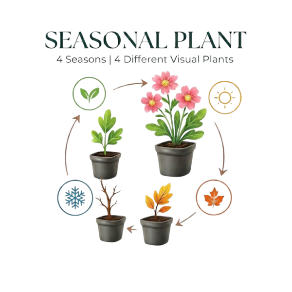 thumbnail_6000-2341.png Cerastium tomentosum | 24 stuks